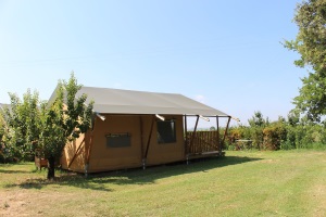 Eucaliptus tent 2016 2 200 300