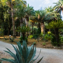 Camping Rosselba Le Palme