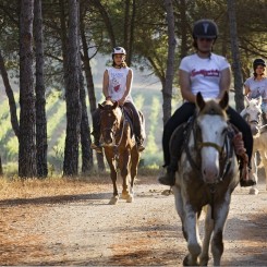 Tenuta delle Ripalte