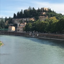 Agriturismo Le Sorgive e Le Volpi