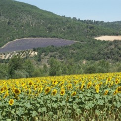 Camping Lou Passavous