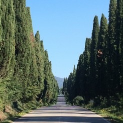 Agriturismo Eucaliptus