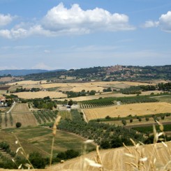 Agriturismo Eucaliptus